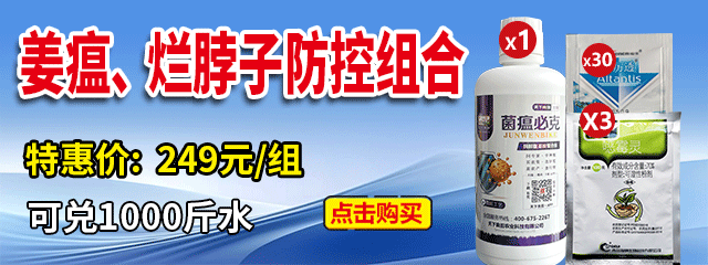 姜瘟、烂脖子防控组合