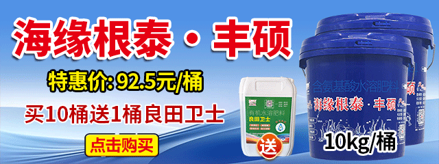 海缘根泰&bull;丰硕