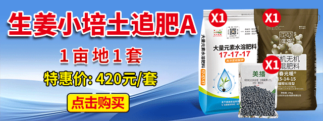 生姜小培土追肥