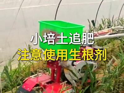 小培土追肥注意使用生根剂 ()