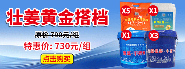 壮姜黄金搭档A