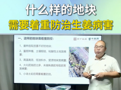 什么样的地块需要着重防治生姜病害？ ()