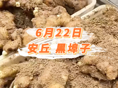 6月22日 安丘黑埠子价格行情 ()