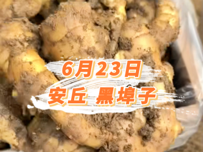 6月23日 安丘黑埠子价格行情 ()