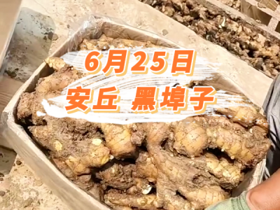 6月25日 安丘黑埠子价格行情 ()