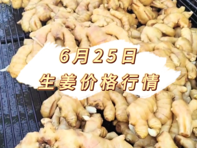 6月25日 生姜价格行情 ()