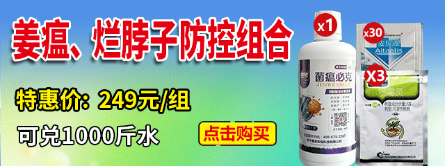 姜瘟、烂脖子防控组合