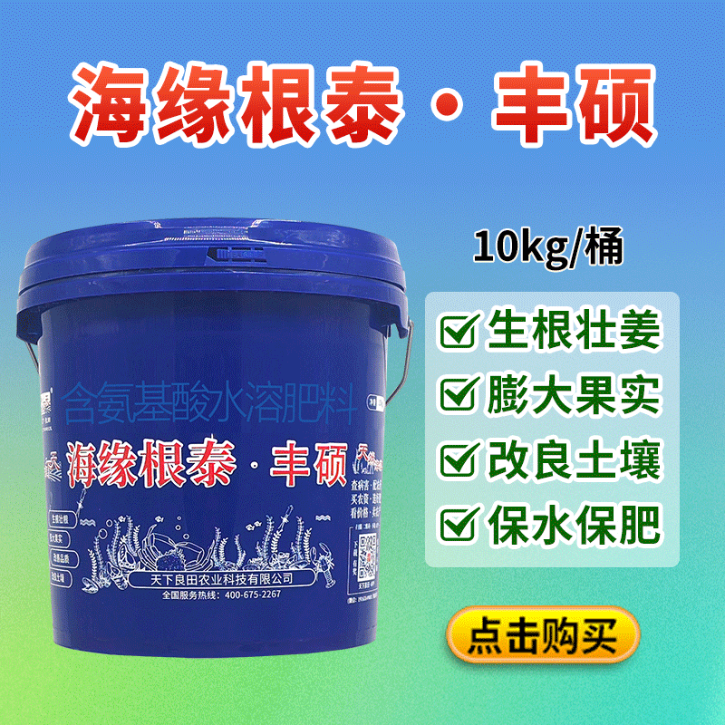 丰硕公众号800-800
