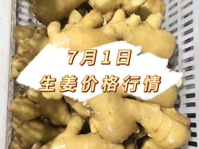 7月1日 生姜价格行情 ()