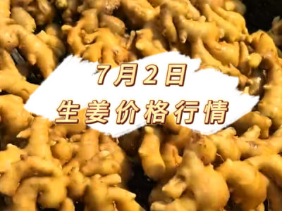 7月2日 生姜价格行情 ()