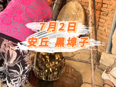 7月2日 安丘黑埠子价格行情 ()