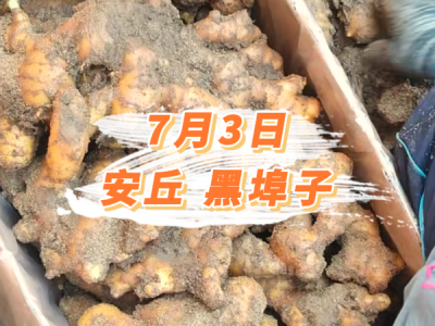 7月3日 安丘黑埠子价格行情 ()