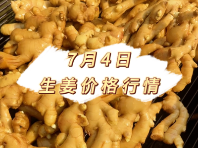 7月4日 生姜价格行情 ()
