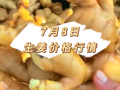 7月8日 生姜价格行情 ()