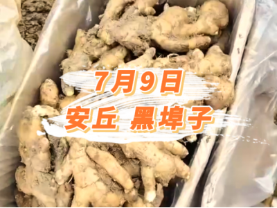 7月9日 安丘黑埠子价格行情 ()