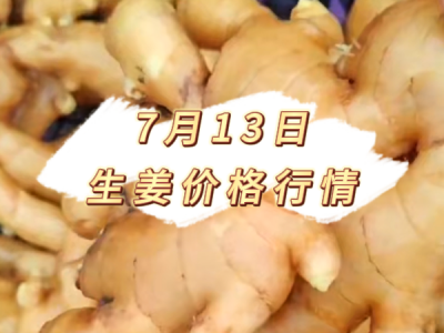 7月13日 生姜价格行情 ()