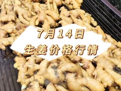 7月14日 生姜价格行情 ()