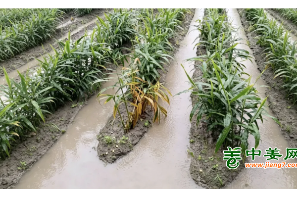 巴威降雨落地！真正的行情变量在这里 ()