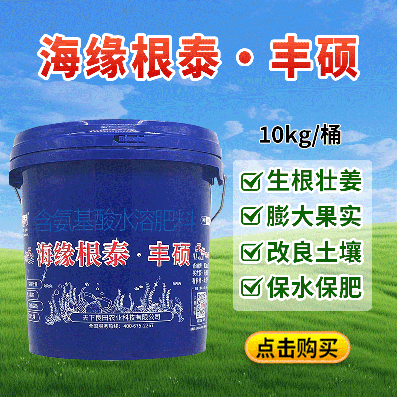 丰硕公众号800-800