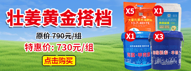 壮姜黄金搭档A