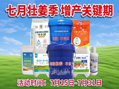 七月壮姜季 增产关键期 ()