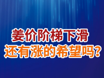 老石说姜：姜价阶梯下滑、还有涨的希望吗？ ()