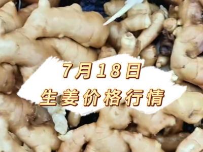 7月18日 生姜价格行情 ()