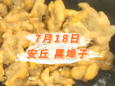 7月18日 安丘黑埠子价格行情 ()