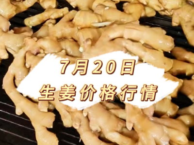 7月20日 生姜价格行情 ()