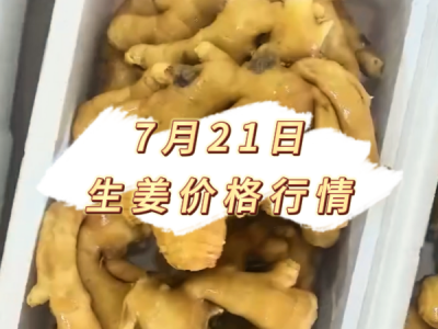 7月21日 生姜价格行情 ()