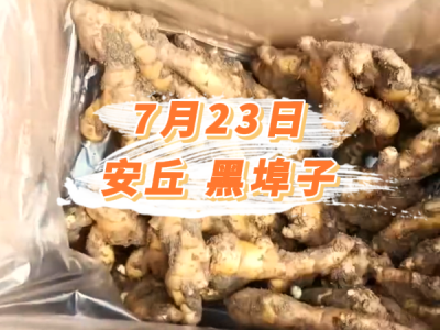7月23日 安丘黑埠子价格行情 ()