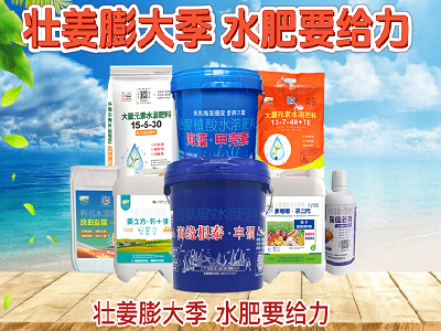 壮姜膨大季 水肥要给力 ()