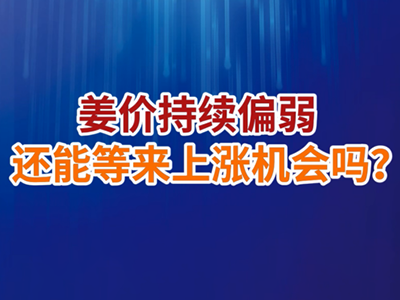 老石说姜：姜价持续偏弱，还能等来上涨机会吗？ ()