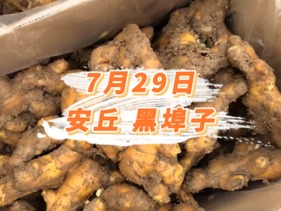 7月29日 安丘黑埠子价格行情 ()