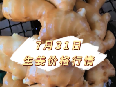 7月31日 生姜价格行情 ()