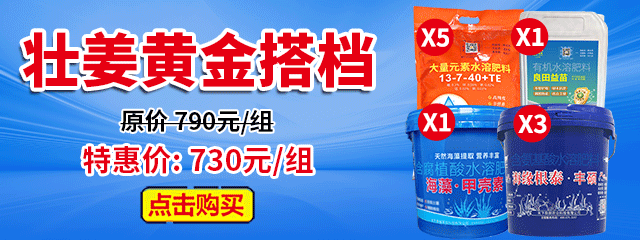 壮姜黄金搭档A