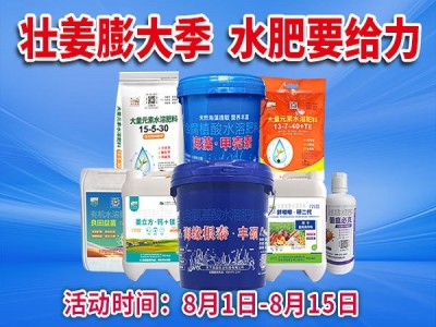 壮姜膨大季 水肥要给力 ()