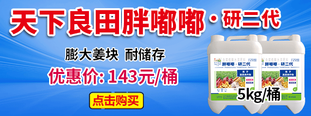 胖嘟嘟