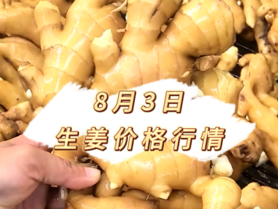 8月3日 生姜价格行情 ()