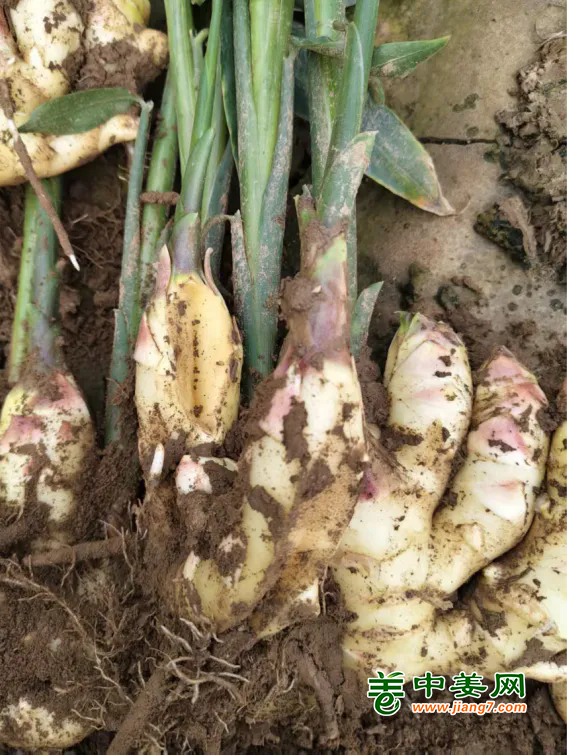 3-3.webp