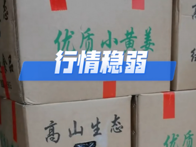8月7日广州江南批发市场价格行情 ()