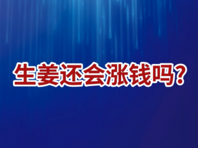 老石说姜：生姜还会涨钱吗？ ()