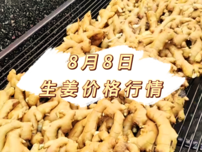 8月8日 生姜价格行情 ()