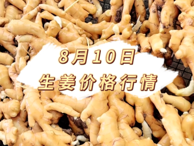 8月10日 生姜价格行情 ()