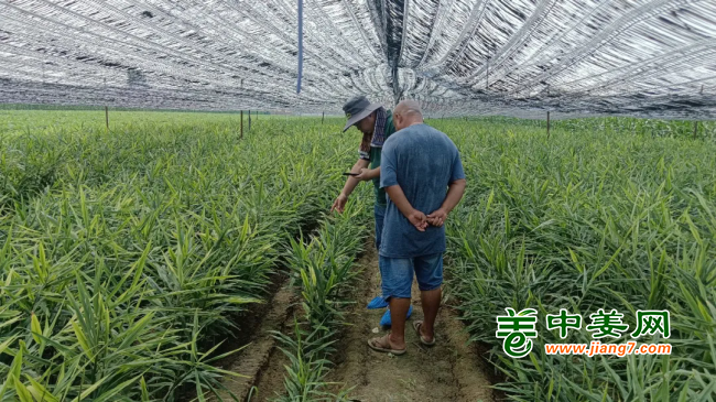 3-1.webp