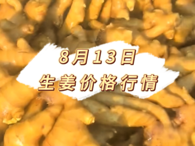 8月13日 生姜价格行情 ()
