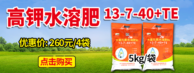 高钾水溶肥13-7-40+TE