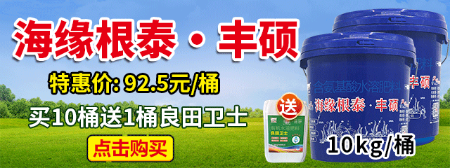 海缘根泰&bull;丰硕