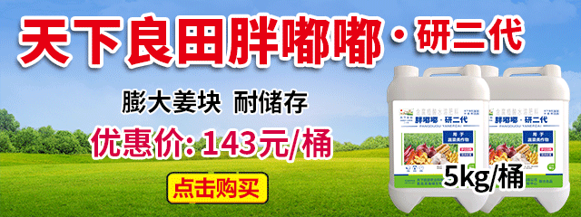胖嘟嘟1