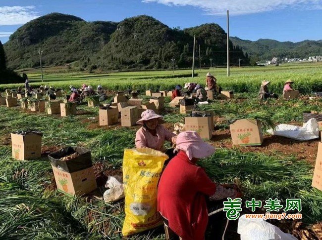 刘建国加工环境61077264